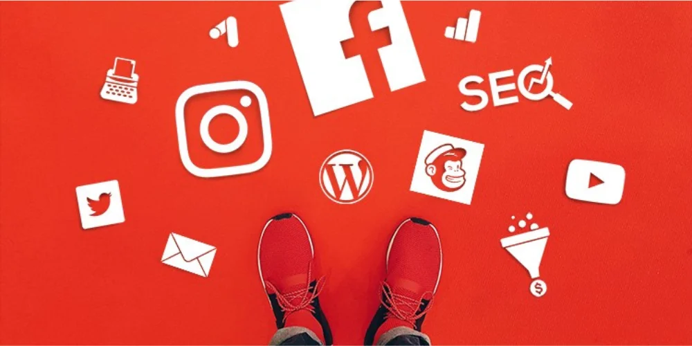Website development and SEO services in Chemmad